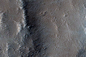 Terrain Sample near Elysium Mons