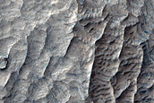 Layers near Western Edge of Schiaparelli Crater
