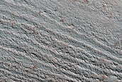 North Polar Terrain Sample