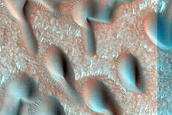Dune Monitoring in Crater