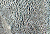 Gullies in Crater