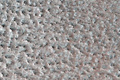 Monitor Northern Plains Bright Patches
