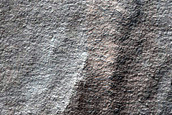 Large Lobate Flow Feature in Nereidum Montes