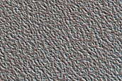 North Polar Terrain