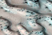 Dunes Dubbed Kaltain