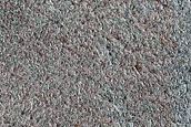 Terrain Sample