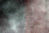 Terrain Sample