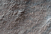 Hellas Planitia