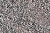 Terrain Sample