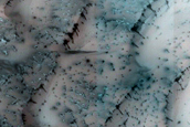 Polar Crater with Dunes and Patterned Ground