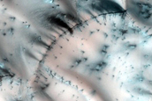 Polar Crater with Dunes and Summer Ice