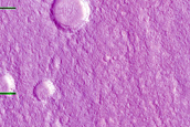 Gullied Impact Crater