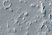 Daedalia Planum