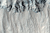 Gully Monitoring