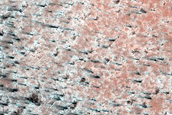Terrain Sample