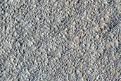 Amazonis Planitia Dust Devil Survey