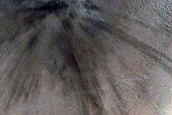 Joint CaSSIS-HiRISE Monitoring of New Icy Impact Crater