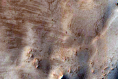 Terrain Sample