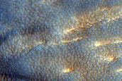 Small Crater on Lyot Crater Ejecta with Relic Gullies