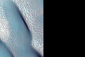Dune Monitoring in Crater