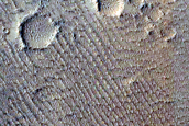 Terrain Sample