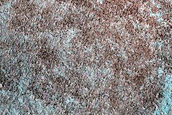 Terrain with Perennial Ice