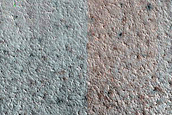 Terrain Sample