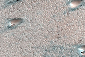 West Olympia Ice-Dune Interaction Survey