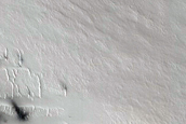 Chasma Boreale Scarp Dunes