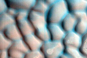 Dune Monitoring in Crater