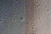 Crater in Volcanic Terrain