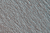 North Polar Terrain