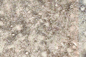 Candidate Recent Impact Site