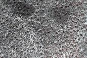 Terrain Sample