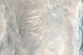 Utopia Planitia Crater
