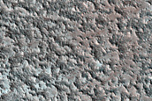 North Polar Boundary