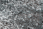 Terrain Sample