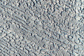 Crater Monitoring