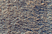 Lobate Apron Feature in Deuteronilus Mensae