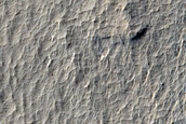Terrain Sample