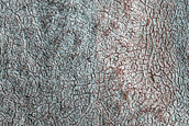 Terrain Sample