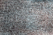 Terrain Sample