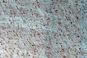 Annual Albedo Changes in Abalos Scopuli