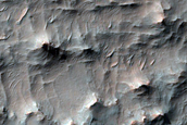 Terrain Sample