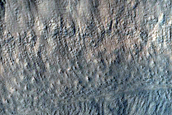 Gully Monitoring