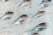 North Polar Duneforms and Frost