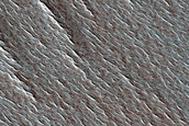 Terrain Sample