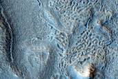 Dipping Layers and Brain Terrain in Deuteronilus Mensae