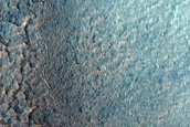 Gully Monitoring