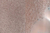 Dust-Raising Event and Streak Monitoring in North Polar Dune Field